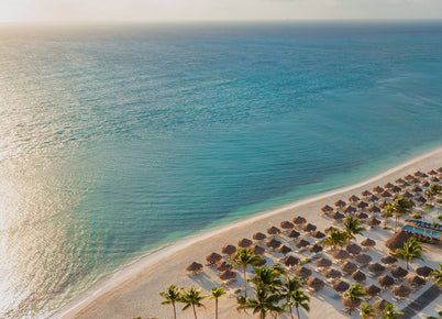Beach with palm trees and umbrellas overlooking the ocean