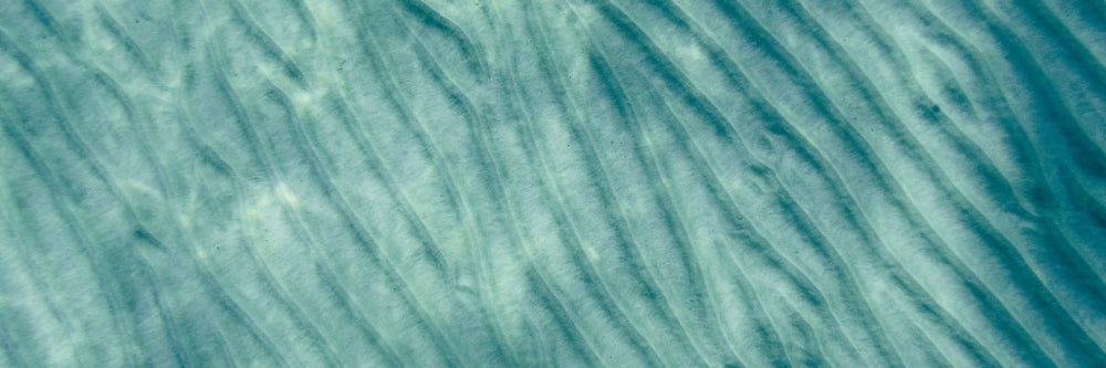 What are the Different Types of Collagen?